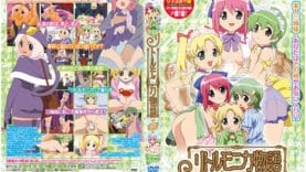contents_xl