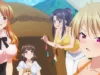 harem-camp-2