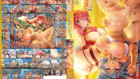 renki02c