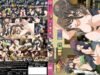 Yume Kui: Tsurumiku Shiki Game Seisaku