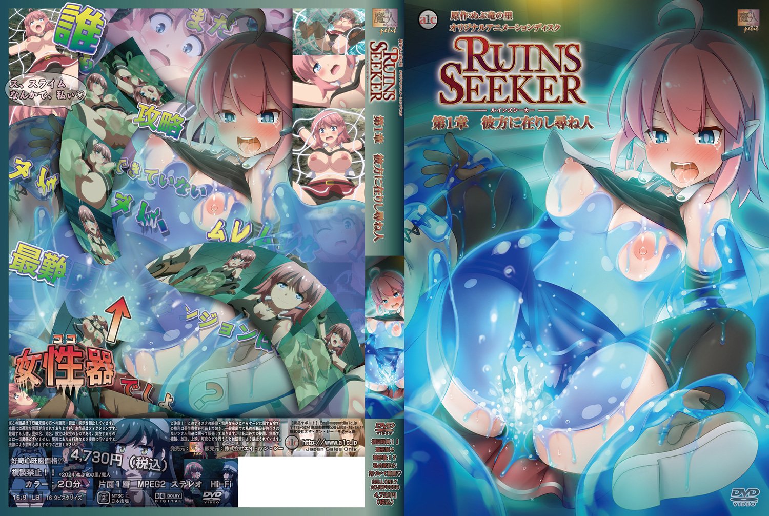 Ruins Seeker 01